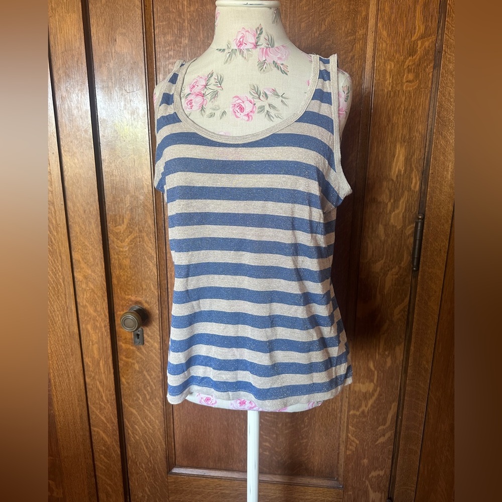 The Limited Metallic Rayon Striped Tank Top, Size XL